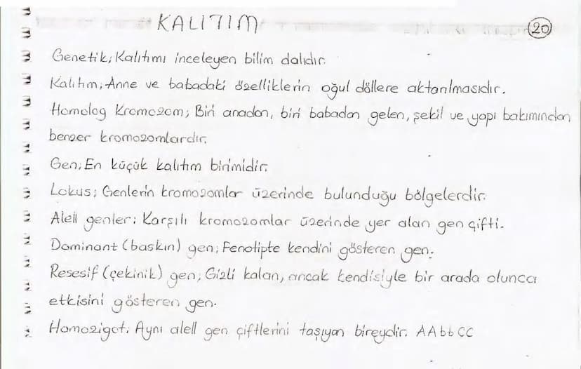 Bölüm 7: FOTOSENTE2 KEMOSENTE2
FOTOSENTE2
3
amaq besin üretmek
hammadde
yon
Ürün
02
CO2 (besinin C kaynağı),
H₂O (02 kaynağı),
2amon→
> günd
