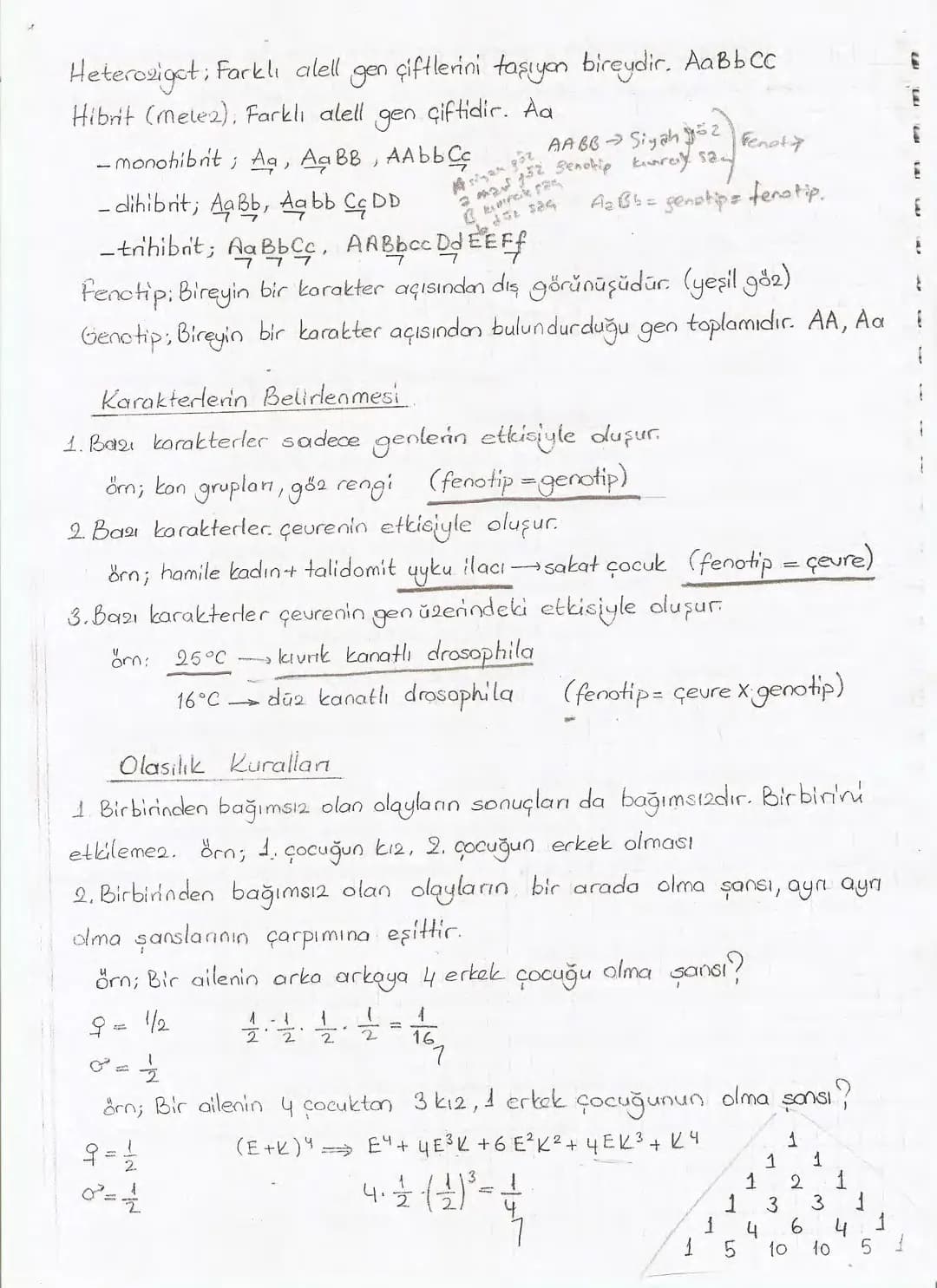 Bölüm 7: FOTOSENTE2 KEMOSENTE2
FOTOSENTE2
3
amaq besin üretmek
hammadde
yon
Ürün
02
CO2 (besinin C kaynağı),
H₂O (02 kaynağı),
2amon→
> günd