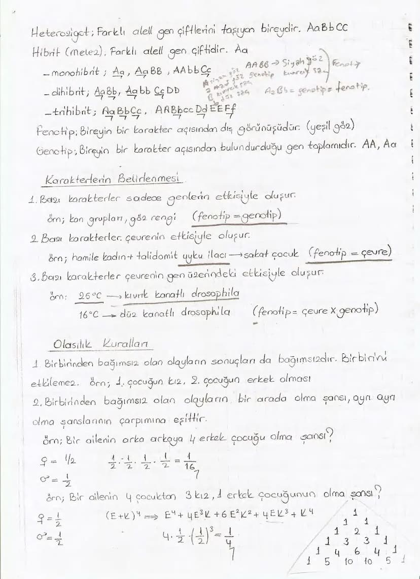 Bölüm 7: FOTOSENTE2 KEMOSENTE2
FOTOSENTE2
3
amaq besin üretmek
hammadde
yon
Ürün
02
CO2 (besinin C kaynağı),
H₂O (02 kaynağı),
2amon→
> günd