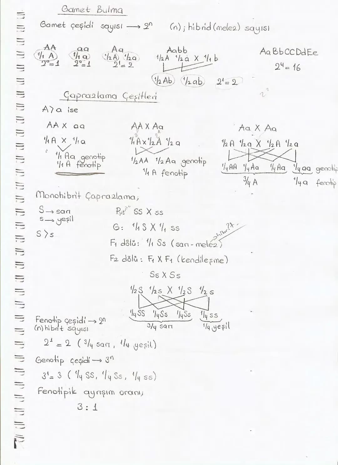 Bölüm 7: FOTOSENTE2 KEMOSENTE2
FOTOSENTE2
3
amaq besin üretmek
hammadde
yon
Ürün
02
CO2 (besinin C kaynağı),
H₂O (02 kaynağı),
2amon→
> günd