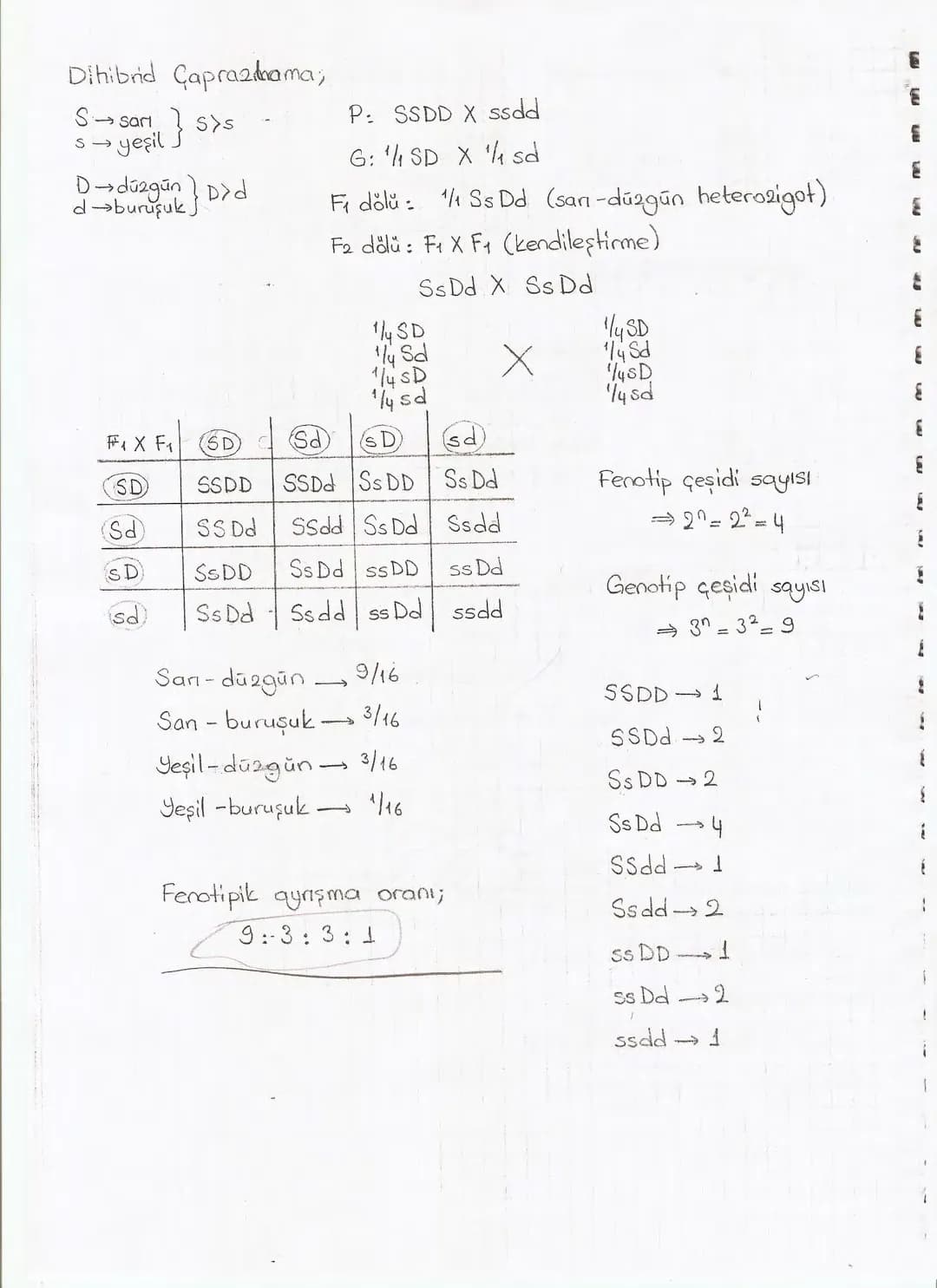 Bölüm 7: FOTOSENTE2 KEMOSENTE2
FOTOSENTE2
3
amaq besin üretmek
hammadde
yon
Ürün
02
CO2 (besinin C kaynağı),
H₂O (02 kaynağı),
2amon→
> günd