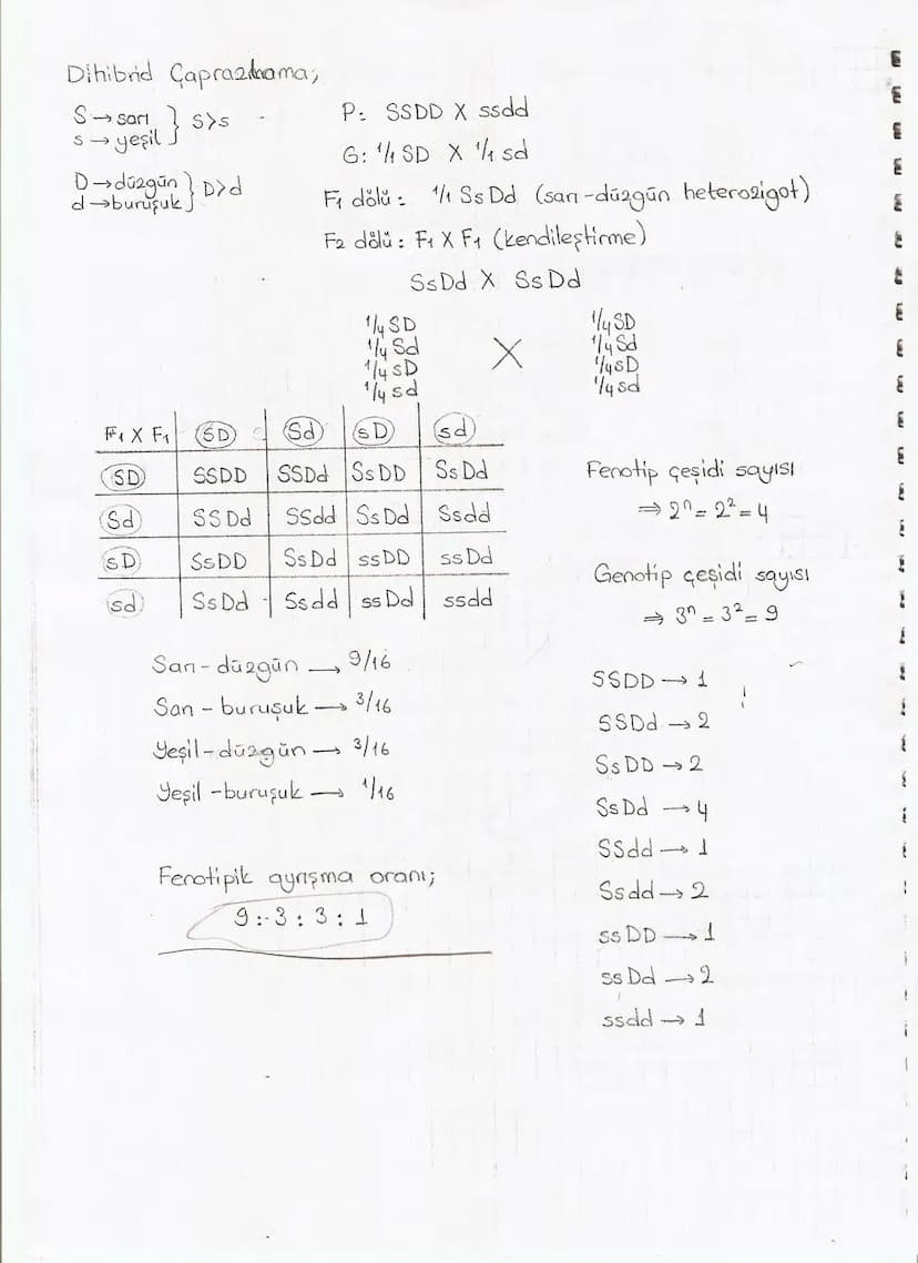 Bölüm 7: FOTOSENTE2 KEMOSENTE2
FOTOSENTE2
3
amaq besin üretmek
hammadde
yon
Ürün
02
CO2 (besinin C kaynağı),
H₂O (02 kaynağı),
2amon→
> günd