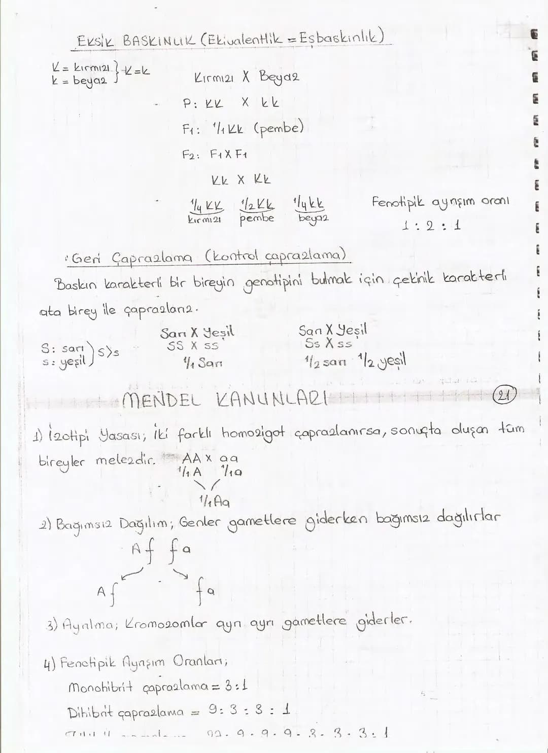 Bölüm 7: FOTOSENTE2 KEMOSENTE2
FOTOSENTE2
3
amaq besin üretmek
hammadde
yon
Ürün
02
CO2 (besinin C kaynağı),
H₂O (02 kaynağı),
2amon→
> günd