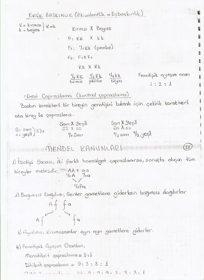 Bölüm 7: FOTOSENTE2 KEMOSENTE2
FOTOSENTE2
3
amaq besin üretmek
hammadde
yon
Ürün
02
CO2 (besinin C kaynağı),
H₂O (02 kaynağı),
2amon→
> günd