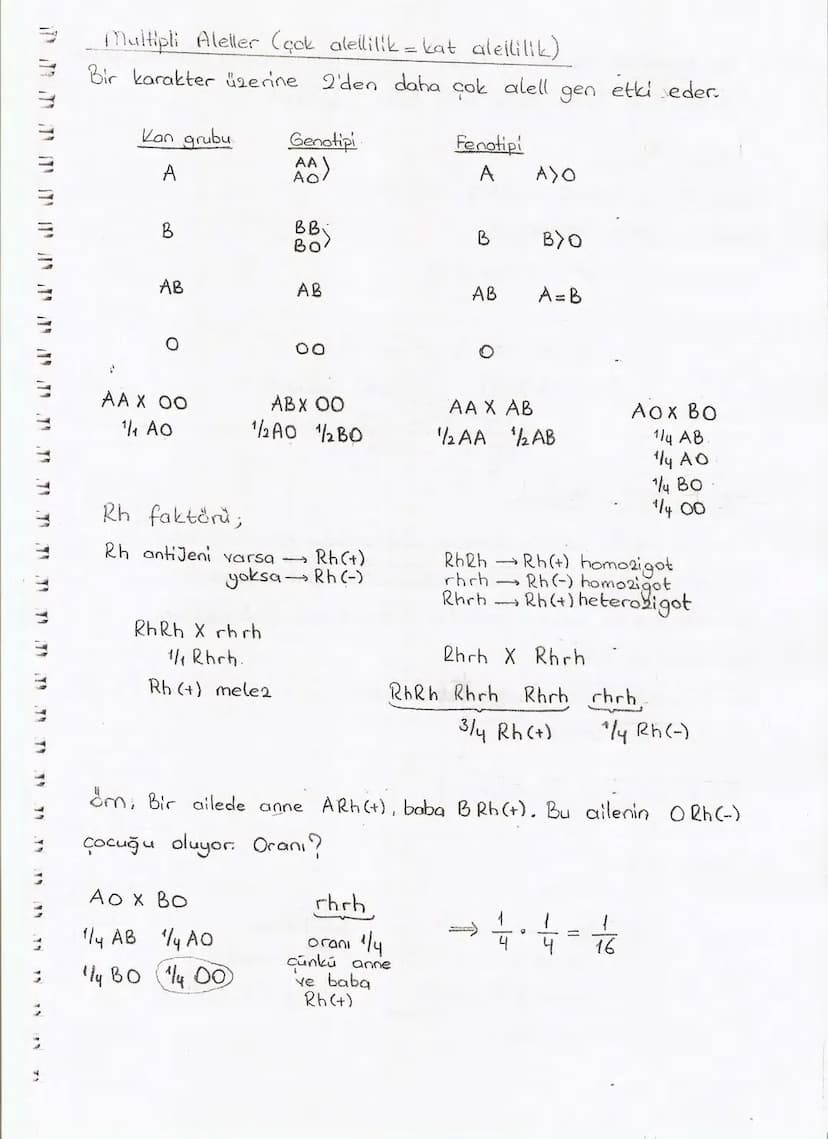 Bölüm 7: FOTOSENTE2 KEMOSENTE2
FOTOSENTE2
3
amaq besin üretmek
hammadde
yon
Ürün
02
CO2 (besinin C kaynağı),
H₂O (02 kaynağı),
2amon→
> günd