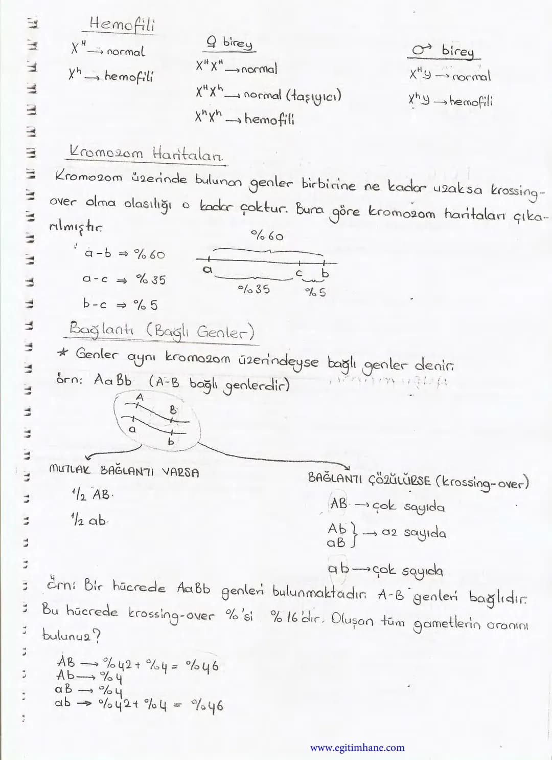 Bölüm 7: FOTOSENTE2 KEMOSENTE2
FOTOSENTE2
3
amaq besin üretmek
hammadde
yon
Ürün
02
CO2 (besinin C kaynağı),
H₂O (02 kaynağı),
2amon→
> günd