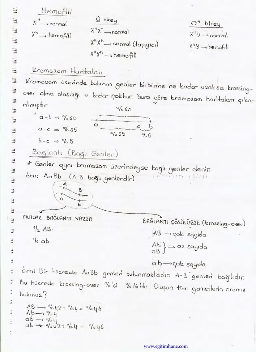 Bölüm 7: FOTOSENTE2 KEMOSENTE2
FOTOSENTE2
3
amaq besin üretmek
hammadde
yon
Ürün
02
CO2 (besinin C kaynağı),
H₂O (02 kaynağı),
2amon→
> günd