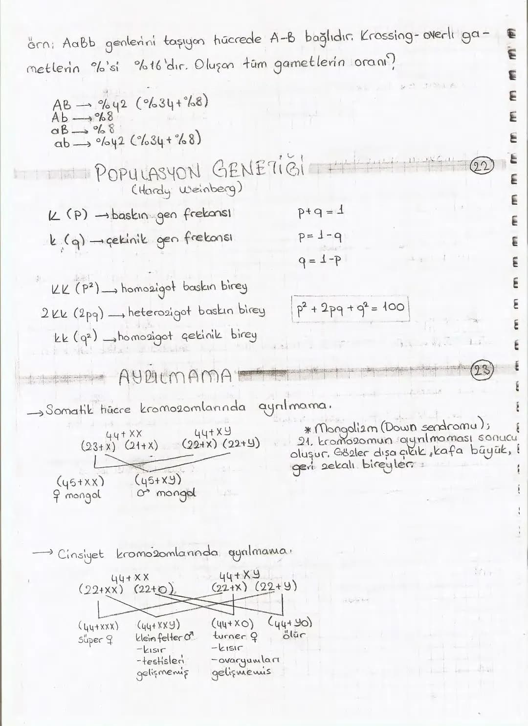 Bölüm 7: FOTOSENTE2 KEMOSENTE2
FOTOSENTE2
3
amaq besin üretmek
hammadde
yon
Ürün
02
CO2 (besinin C kaynağı),
H₂O (02 kaynağı),
2amon→
> günd