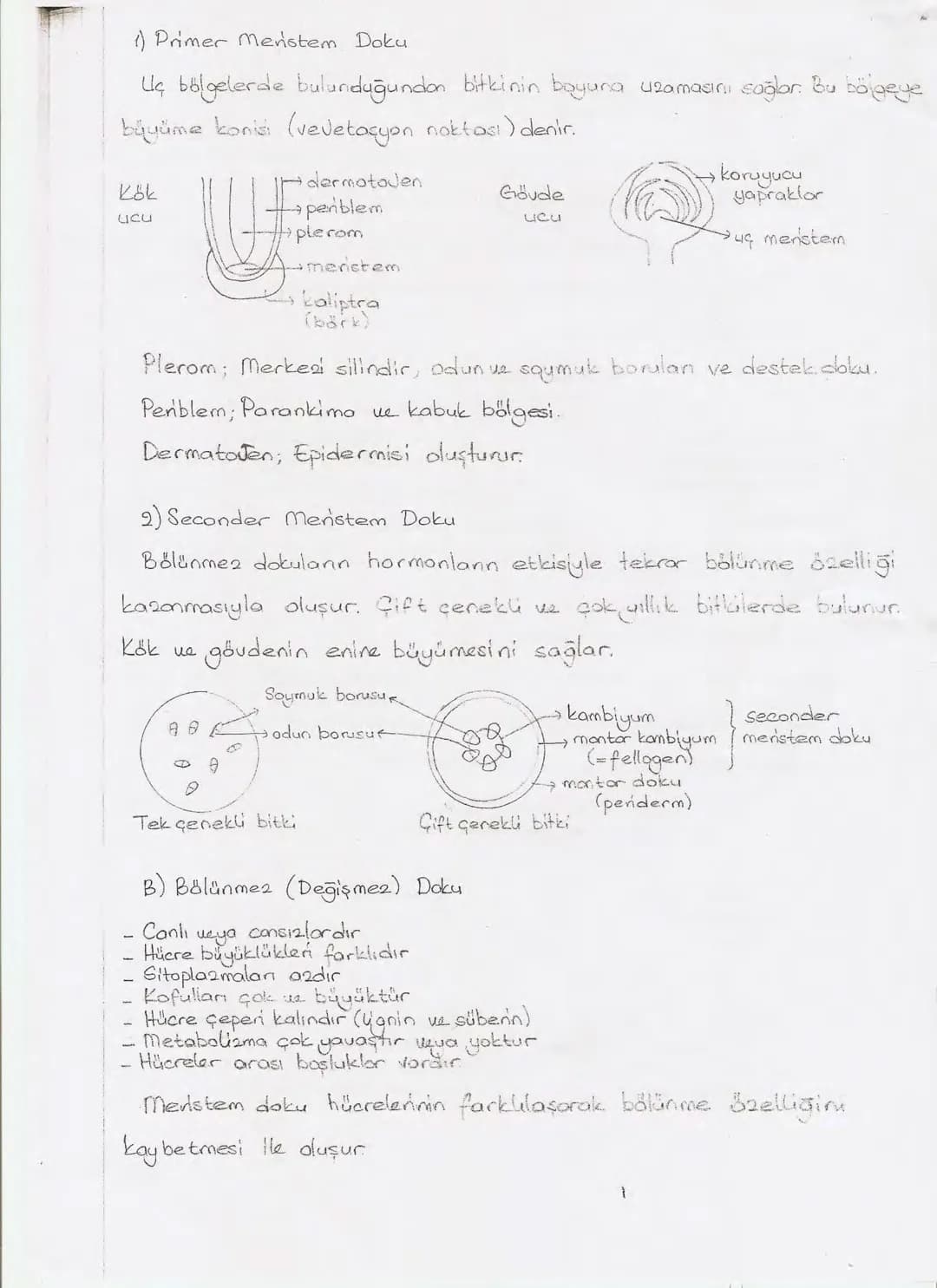 Bölüm 7: FOTOSENTE2 KEMOSENTE2
FOTOSENTE2
3
amaq besin üretmek
hammadde
yon
Ürün
02
CO2 (besinin C kaynağı),
H₂O (02 kaynağı),
2amon→
> günd