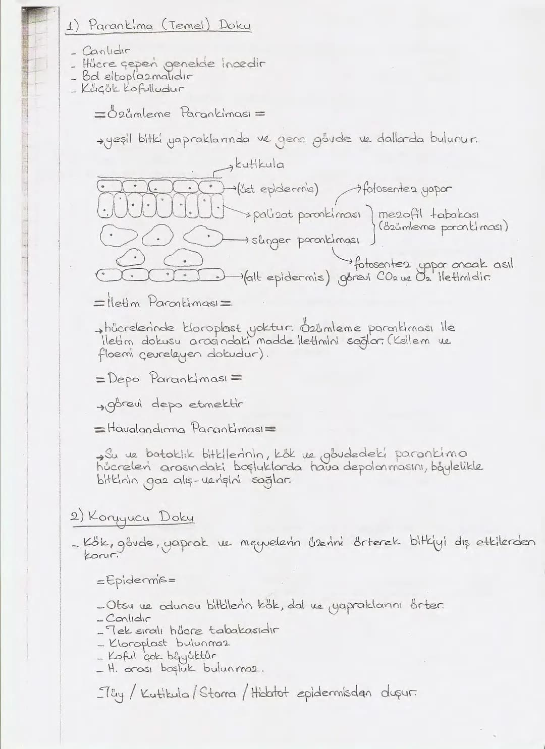 Bölüm 7: FOTOSENTE2 KEMOSENTE2
FOTOSENTE2
3
amaq besin üretmek
hammadde
yon
Ürün
02
CO2 (besinin C kaynağı),
H₂O (02 kaynağı),
2amon→
> günd
