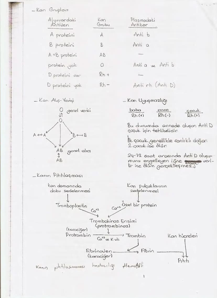 Bölüm 7: FOTOSENTE2 KEMOSENTE2
FOTOSENTE2
3
amaq besin üretmek
hammadde
yon
Ürün
02
CO2 (besinin C kaynağı),
H₂O (02 kaynağı),
2amon→
> günd