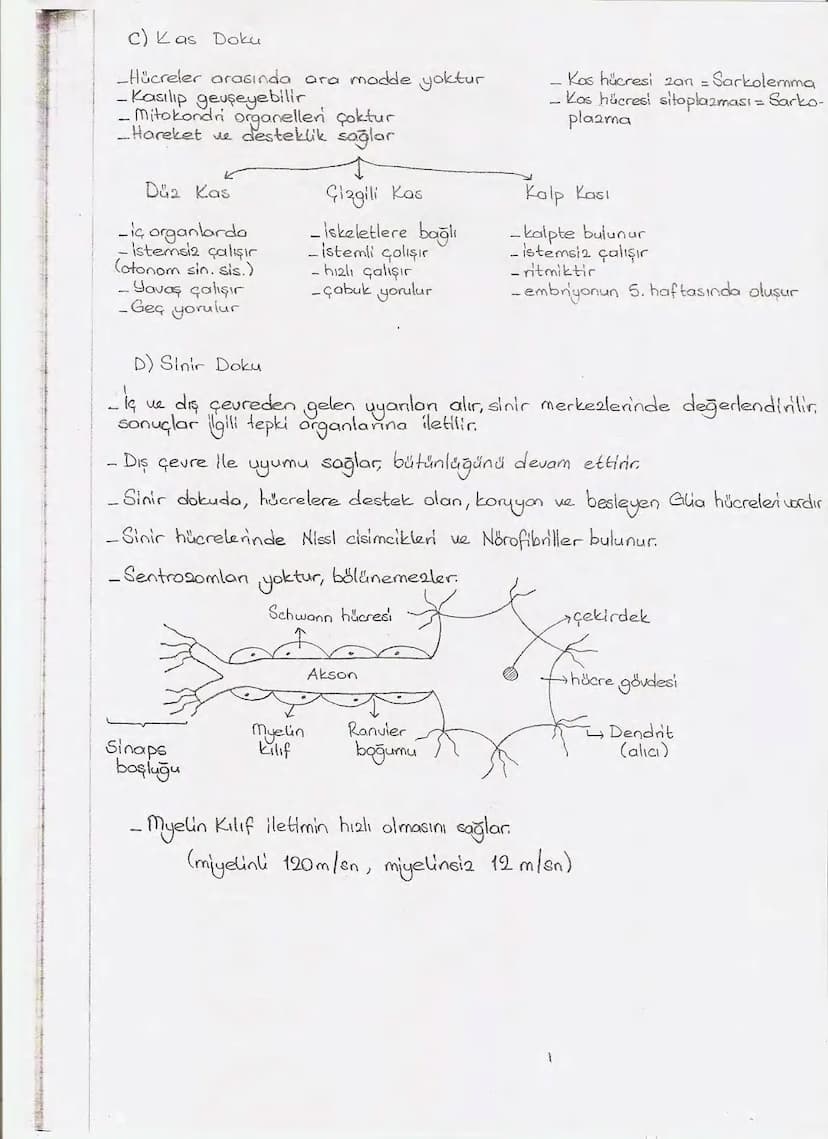 Bölüm 7: FOTOSENTE2 KEMOSENTE2
FOTOSENTE2
3
amaq besin üretmek
hammadde
yon
Ürün
02
CO2 (besinin C kaynağı),
H₂O (02 kaynağı),
2amon→
> günd