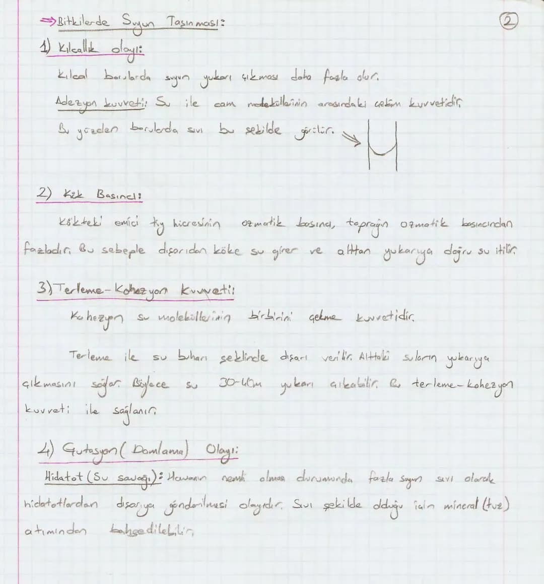 Bölüm 7: FOTOSENTE2 KEMOSENTE2
FOTOSENTE2
3
amaq besin üretmek
hammadde
yon
Ürün
02
CO2 (besinin C kaynağı),
H₂O (02 kaynağı),
2amon→
> günd