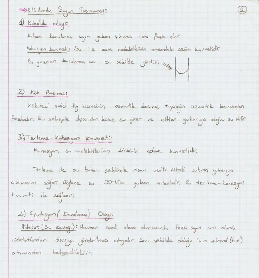 Bölüm 7: FOTOSENTE2 KEMOSENTE2
FOTOSENTE2
3
amaq besin üretmek
hammadde
yon
Ürün
02
CO2 (besinin C kaynağı),
H₂O (02 kaynağı),
2amon→
> günd