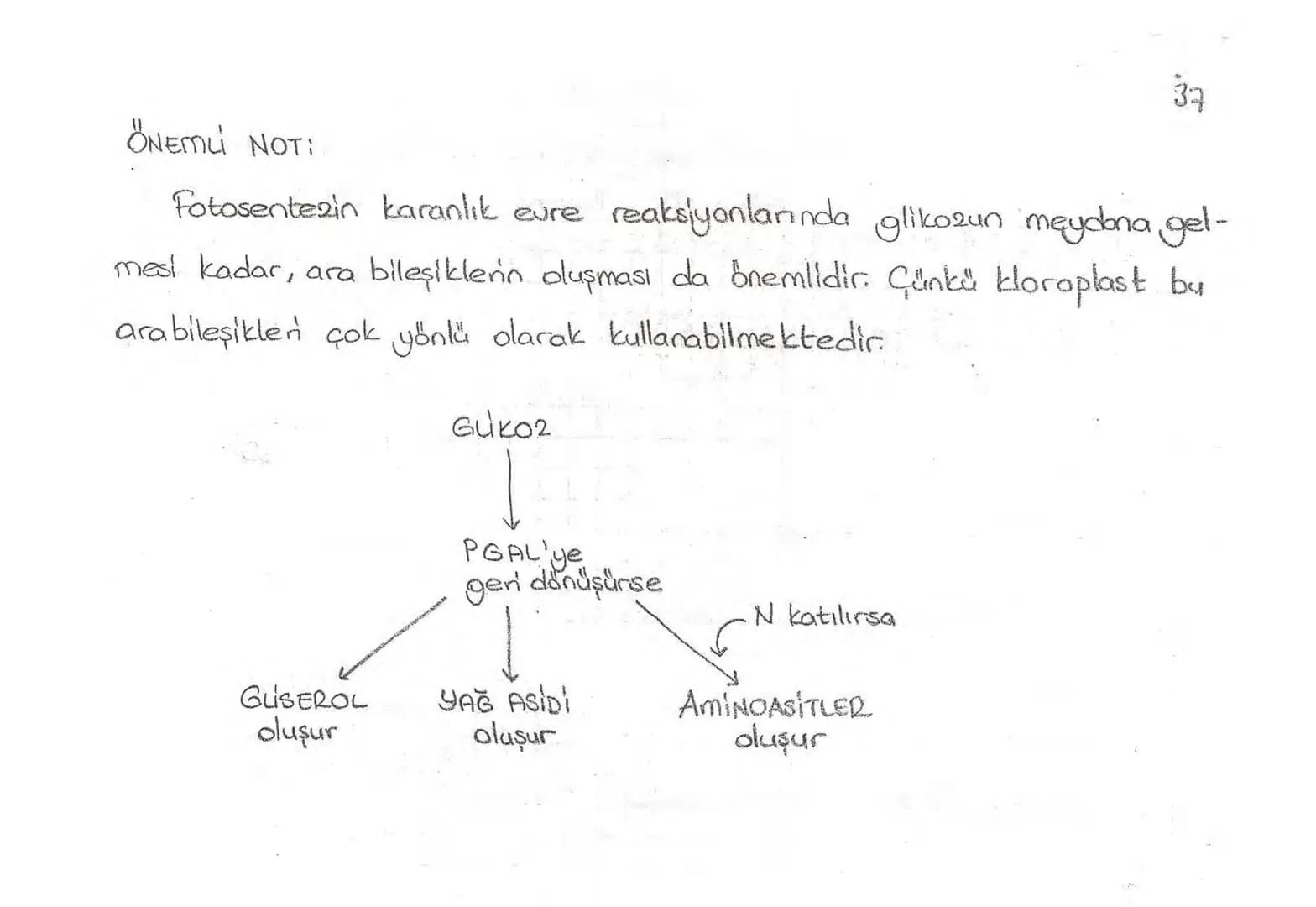 Bölüm 7: FOTOSENTE2 KEMOSENTE2
FOTOSENTE2
3
amaq besin üretmek
hammadde
yon
Ürün
02
CO2 (besinin C kaynağı),
H₂O (02 kaynağı),
2amon→
> günd
