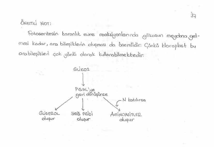 Bölüm 7: FOTOSENTE2 KEMOSENTE2
FOTOSENTE2
3
amaq besin üretmek
hammadde
yon
Ürün
02
CO2 (besinin C kaynağı),
H₂O (02 kaynağı),
2amon→
> günd