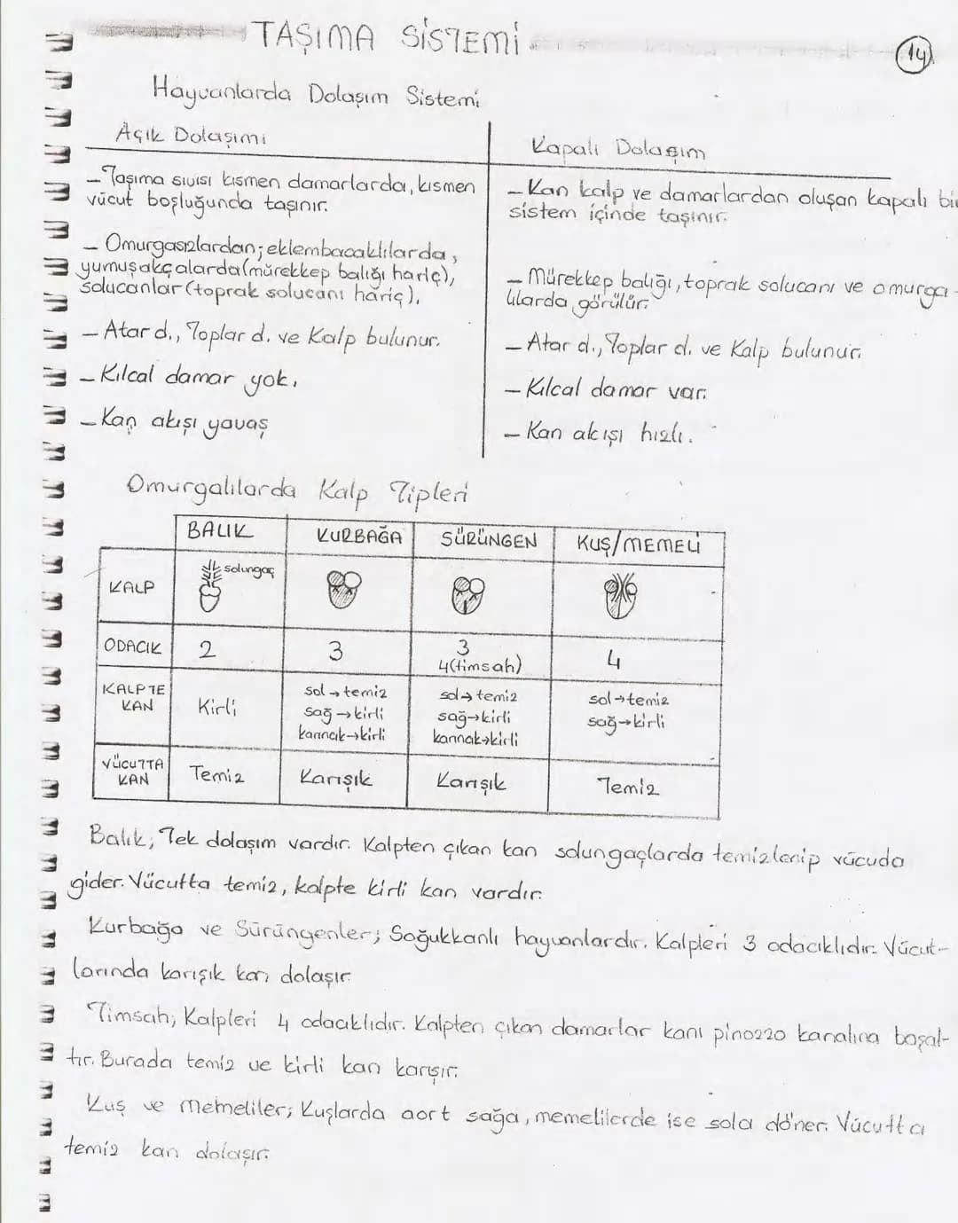 Bölüm 7: FOTOSENTE2 KEMOSENTE2
FOTOSENTE2
3
amaq besin üretmek
hammadde
yon
Ürün
02
CO2 (besinin C kaynağı),
H₂O (02 kaynağı),
2amon→
> günd