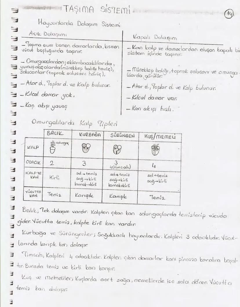 Bölüm 7: FOTOSENTE2 KEMOSENTE2
FOTOSENTE2
3
amaq besin üretmek
hammadde
yon
Ürün
02
CO2 (besinin C kaynağı),
H₂O (02 kaynağı),
2amon→
> günd