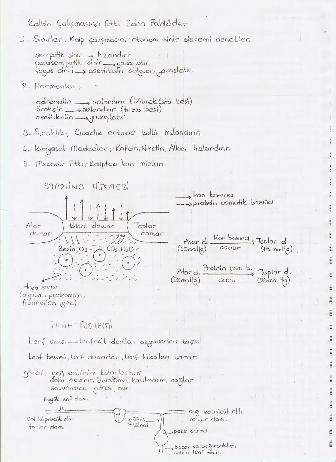 Bölüm 7: FOTOSENTE2 KEMOSENTE2
FOTOSENTE2
3
amaq besin üretmek
hammadde
yon
Ürün
02
CO2 (besinin C kaynağı),
H₂O (02 kaynağı),
2amon→
> günd
