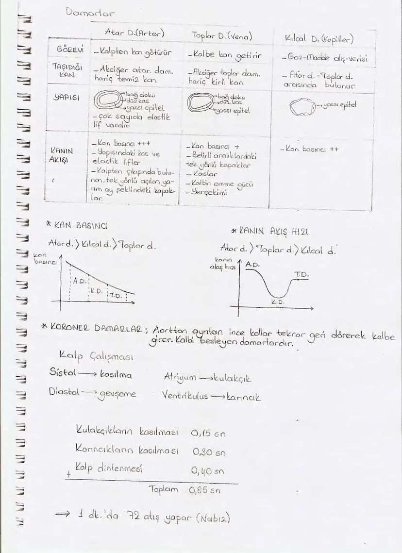 Bölüm 7: FOTOSENTE2 KEMOSENTE2
FOTOSENTE2
3
amaq besin üretmek
hammadde
yon
Ürün
02
CO2 (besinin C kaynağı),
H₂O (02 kaynağı),
2amon→
> günd