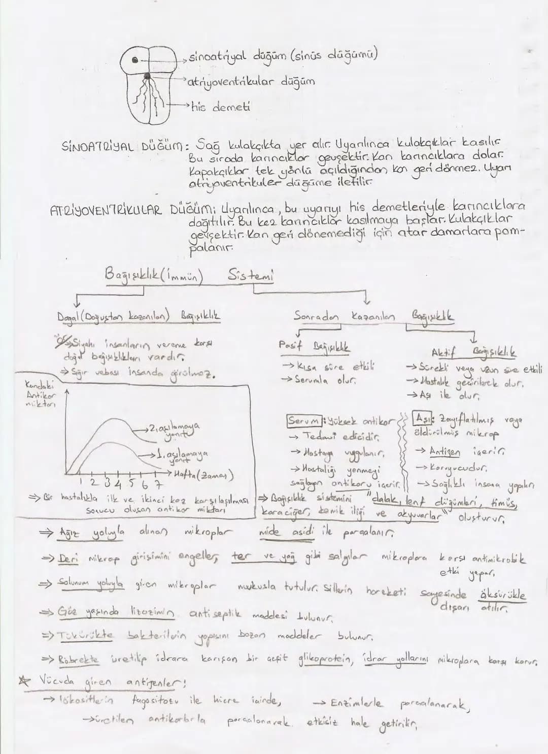Bölüm 7: FOTOSENTE2 KEMOSENTE2
FOTOSENTE2
3
amaq besin üretmek
hammadde
yon
Ürün
02
CO2 (besinin C kaynağı),
H₂O (02 kaynağı),
2amon→
> günd