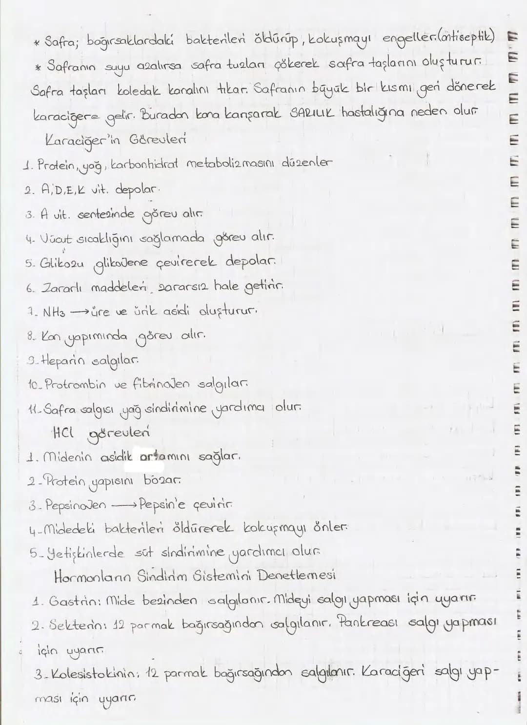 Bölüm 7: FOTOSENTE2 KEMOSENTE2
FOTOSENTE2
3
amaq besin üretmek
hammadde
yon
Ürün
02
CO2 (besinin C kaynağı),
H₂O (02 kaynağı),
2amon→
> günd