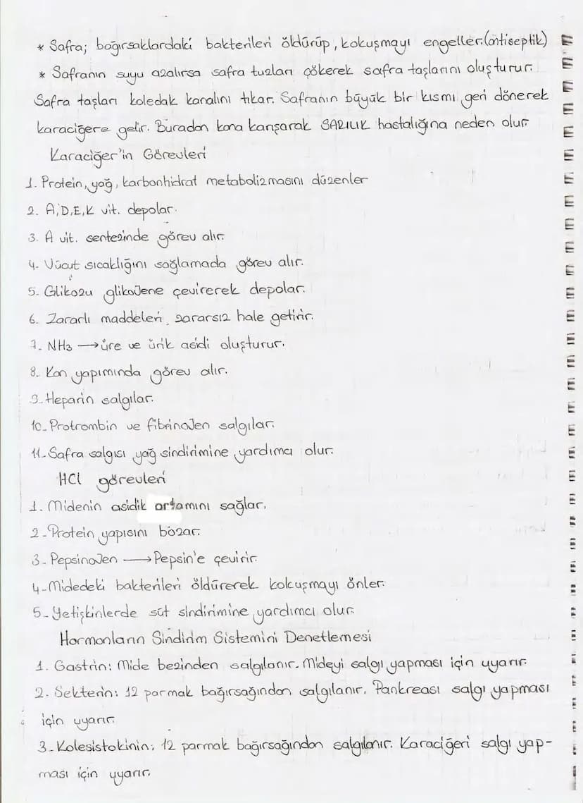 Bölüm 7: FOTOSENTE2 KEMOSENTE2
FOTOSENTE2
3
amaq besin üretmek
hammadde
yon
Ürün
02
CO2 (besinin C kaynağı),
H₂O (02 kaynağı),
2amon→
> günd