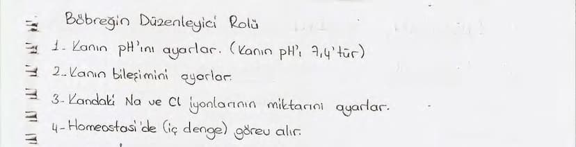 Bölüm 7: FOTOSENTE2 KEMOSENTE2
FOTOSENTE2
3
amaq besin üretmek
hammadde
yon
Ürün
02
CO2 (besinin C kaynağı),
H₂O (02 kaynağı),
2amon→
> günd