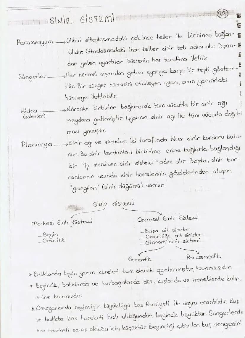 Bölüm 7: FOTOSENTE2 KEMOSENTE2
FOTOSENTE2
3
amaq besin üretmek
hammadde
yon
Ürün
02
CO2 (besinin C kaynağı),
H₂O (02 kaynağı),
2amon→
> günd