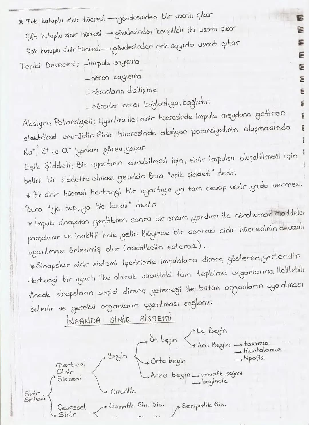 Bölüm 7: FOTOSENTE2 KEMOSENTE2
FOTOSENTE2
3
amaq besin üretmek
hammadde
yon
Ürün
02
CO2 (besinin C kaynağı),
H₂O (02 kaynağı),
2amon→
> günd