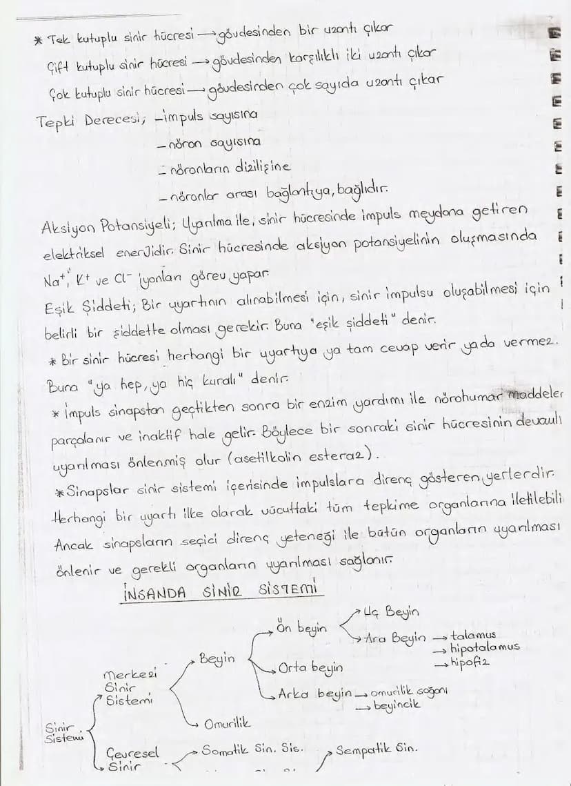 Bölüm 7: FOTOSENTE2 KEMOSENTE2
FOTOSENTE2
3
amaq besin üretmek
hammadde
yon
Ürün
02
CO2 (besinin C kaynağı),
H₂O (02 kaynağı),
2amon→
> günd