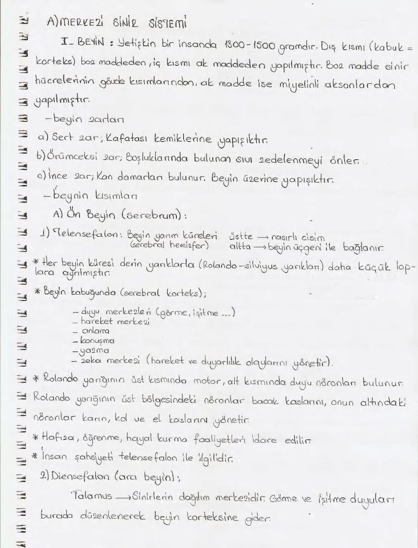 Bölüm 7: FOTOSENTE2 KEMOSENTE2
FOTOSENTE2
3
amaq besin üretmek
hammadde
yon
Ürün
02
CO2 (besinin C kaynağı),
H₂O (02 kaynağı),
2amon→
> günd