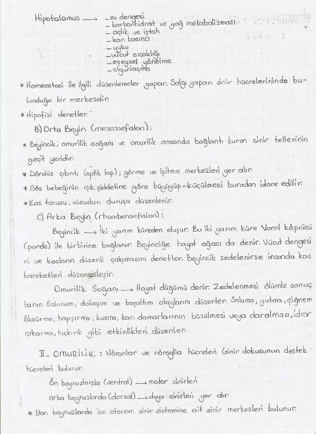 Bölüm 7: FOTOSENTE2 KEMOSENTE2
FOTOSENTE2
3
amaq besin üretmek
hammadde
yon
Ürün
02
CO2 (besinin C kaynağı),
H₂O (02 kaynağı),
2amon→
> günd