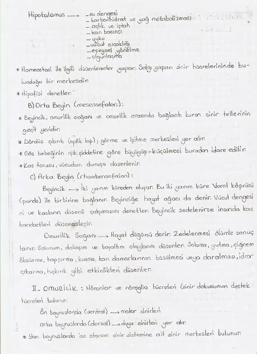 Bölüm 7: FOTOSENTE2 KEMOSENTE2
FOTOSENTE2
3
amaq besin üretmek
hammadde
yon
Ürün
02
CO2 (besinin C kaynağı),
H₂O (02 kaynağı),
2amon→
> günd