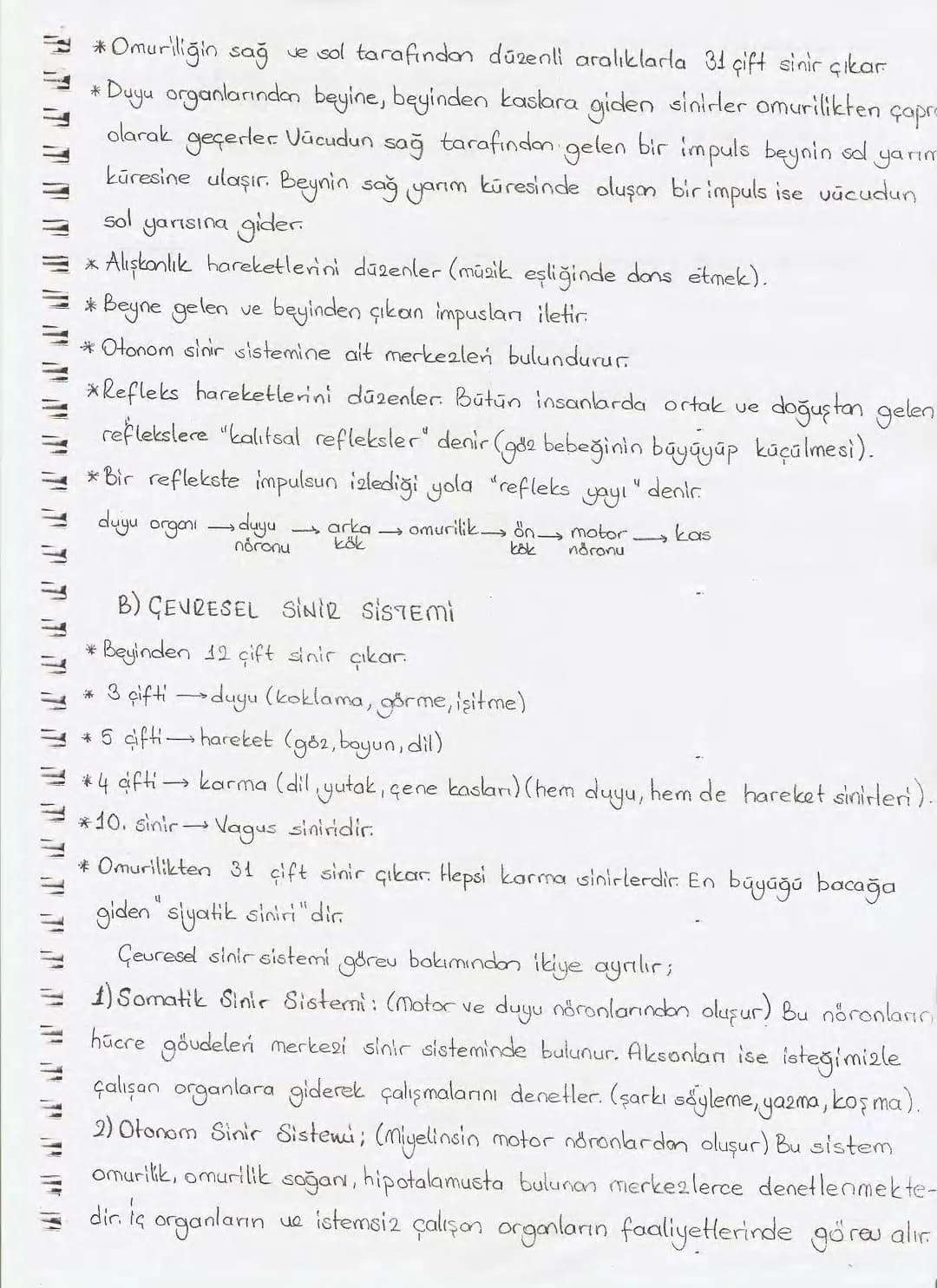 Bölüm 7: FOTOSENTE2 KEMOSENTE2
FOTOSENTE2
3
amaq besin üretmek
hammadde
yon
Ürün
02
CO2 (besinin C kaynağı),
H₂O (02 kaynağı),
2amon→
> günd