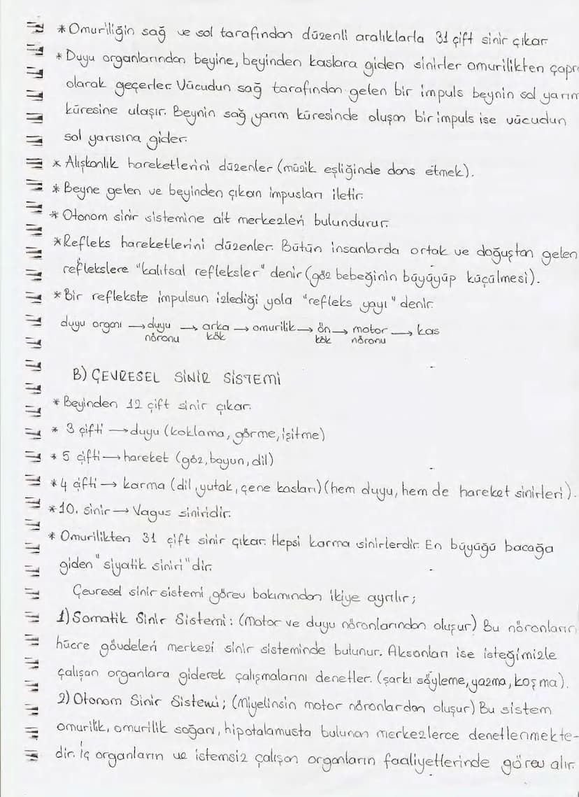 Bölüm 7: FOTOSENTE2 KEMOSENTE2
FOTOSENTE2
3
amaq besin üretmek
hammadde
yon
Ürün
02
CO2 (besinin C kaynağı),
H₂O (02 kaynağı),
2amon→
> günd