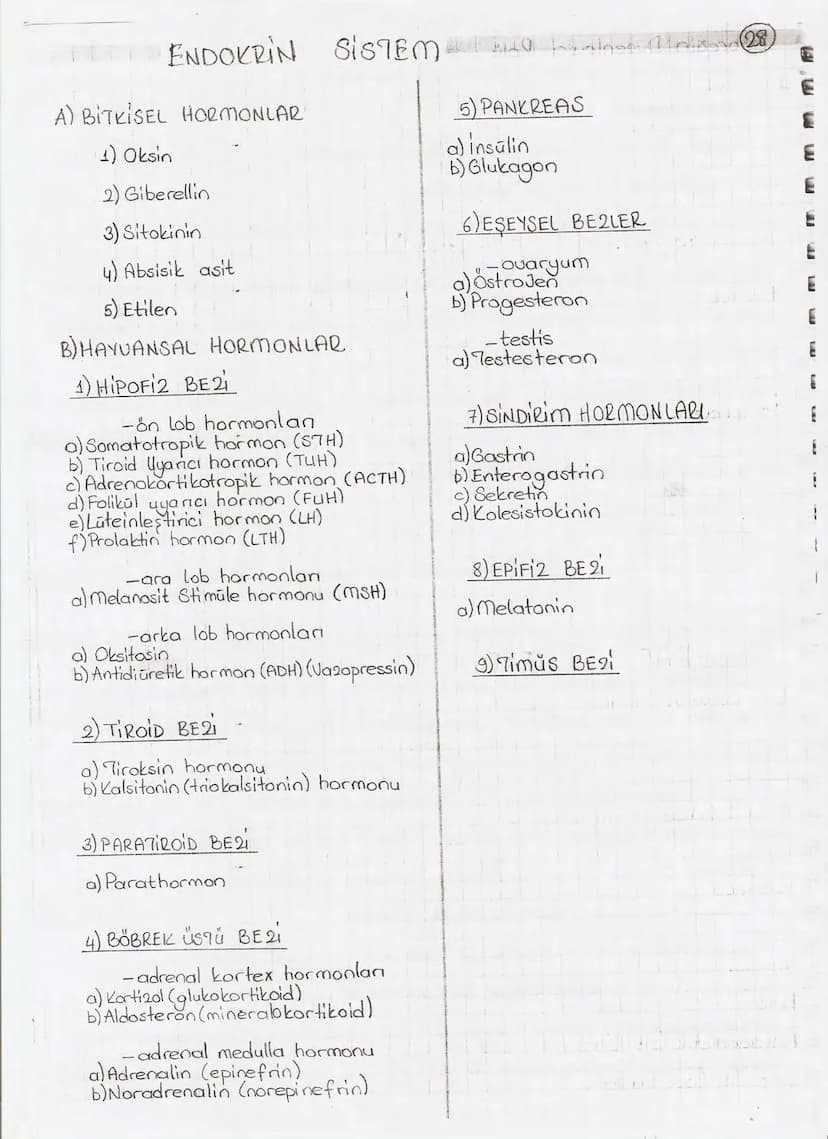 Bölüm 7: FOTOSENTE2 KEMOSENTE2
FOTOSENTE2
3
amaq besin üretmek
hammadde
yon
Ürün
02
CO2 (besinin C kaynağı),
H₂O (02 kaynağı),
2amon→
> günd