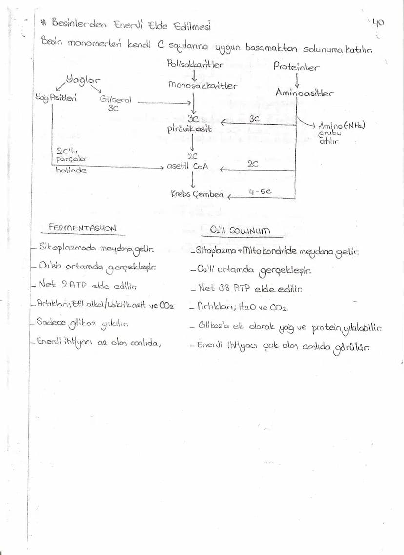 Bölüm 7: FOTOSENTE2 KEMOSENTE2
FOTOSENTE2
3
amaq besin üretmek
hammadde
yon
Ürün
02
CO2 (besinin C kaynağı),
H₂O (02 kaynağı),
2amon→
> günd