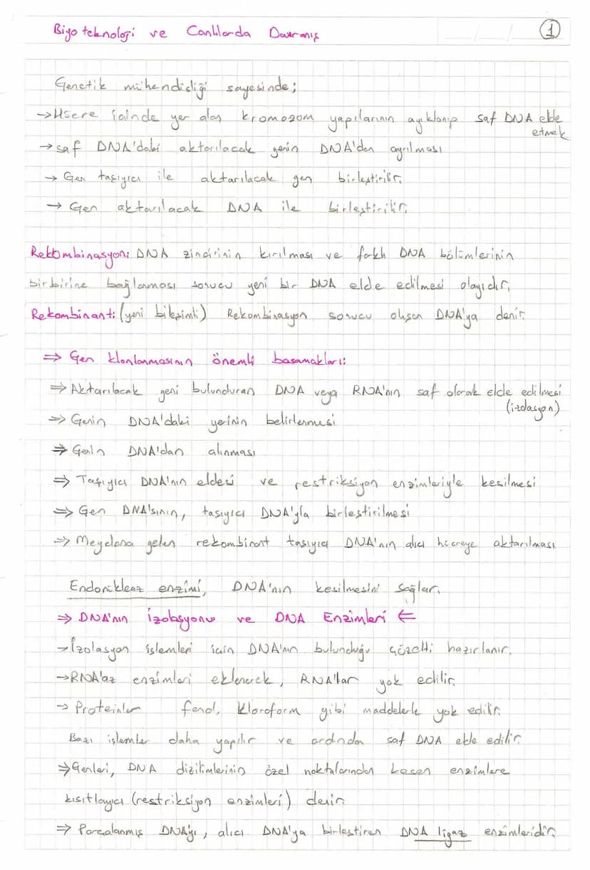 Bölüm 7: FOTOSENTE2 KEMOSENTE2
FOTOSENTE2
3
amaq besin üretmek
hammadde
yon
Ürün
02
CO2 (besinin C kaynağı),
H₂O (02 kaynağı),
2amon→
> günd