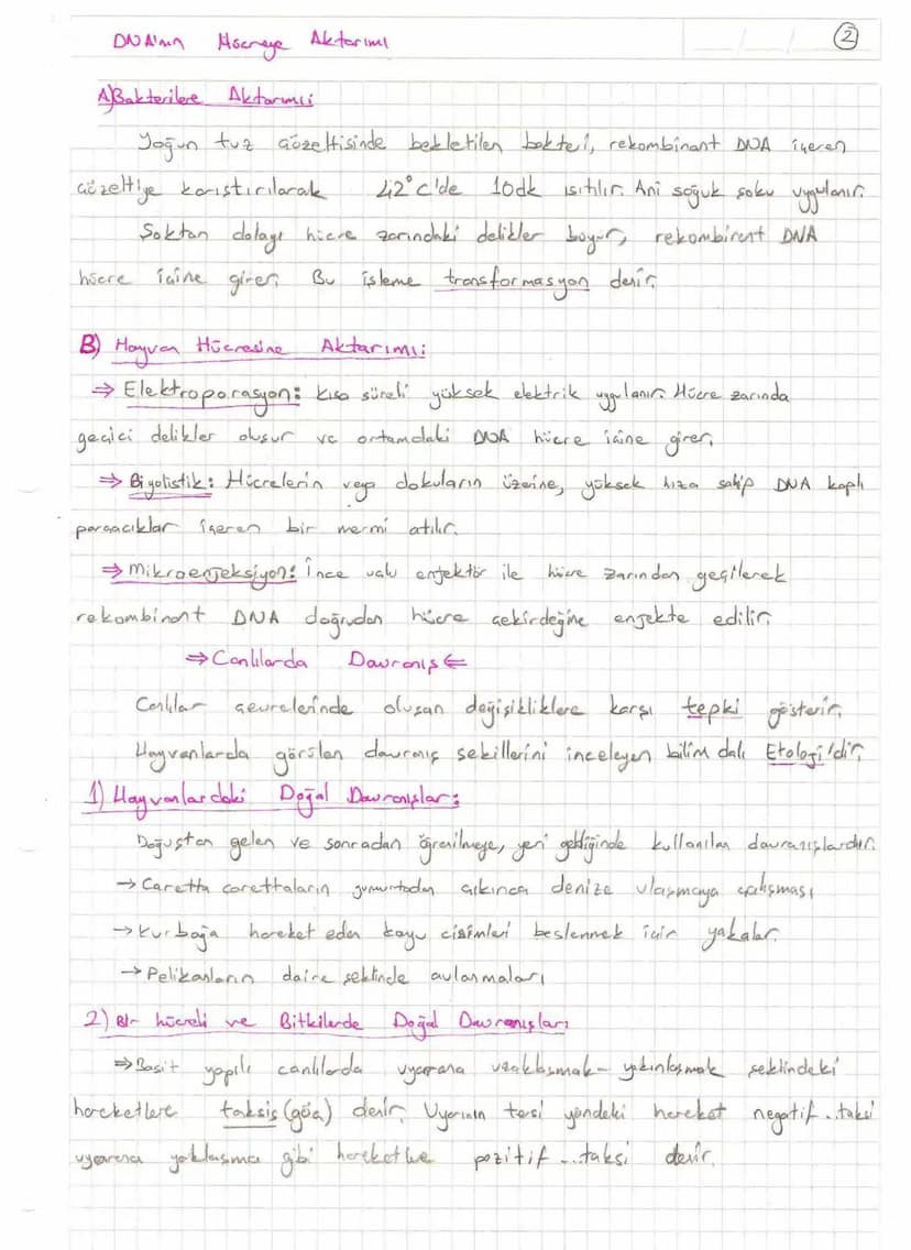 Bölüm 7: FOTOSENTE2 KEMOSENTE2
FOTOSENTE2
3
amaq besin üretmek
hammadde
yon
Ürün
02
CO2 (besinin C kaynağı),
H₂O (02 kaynağı),
2amon→
> günd