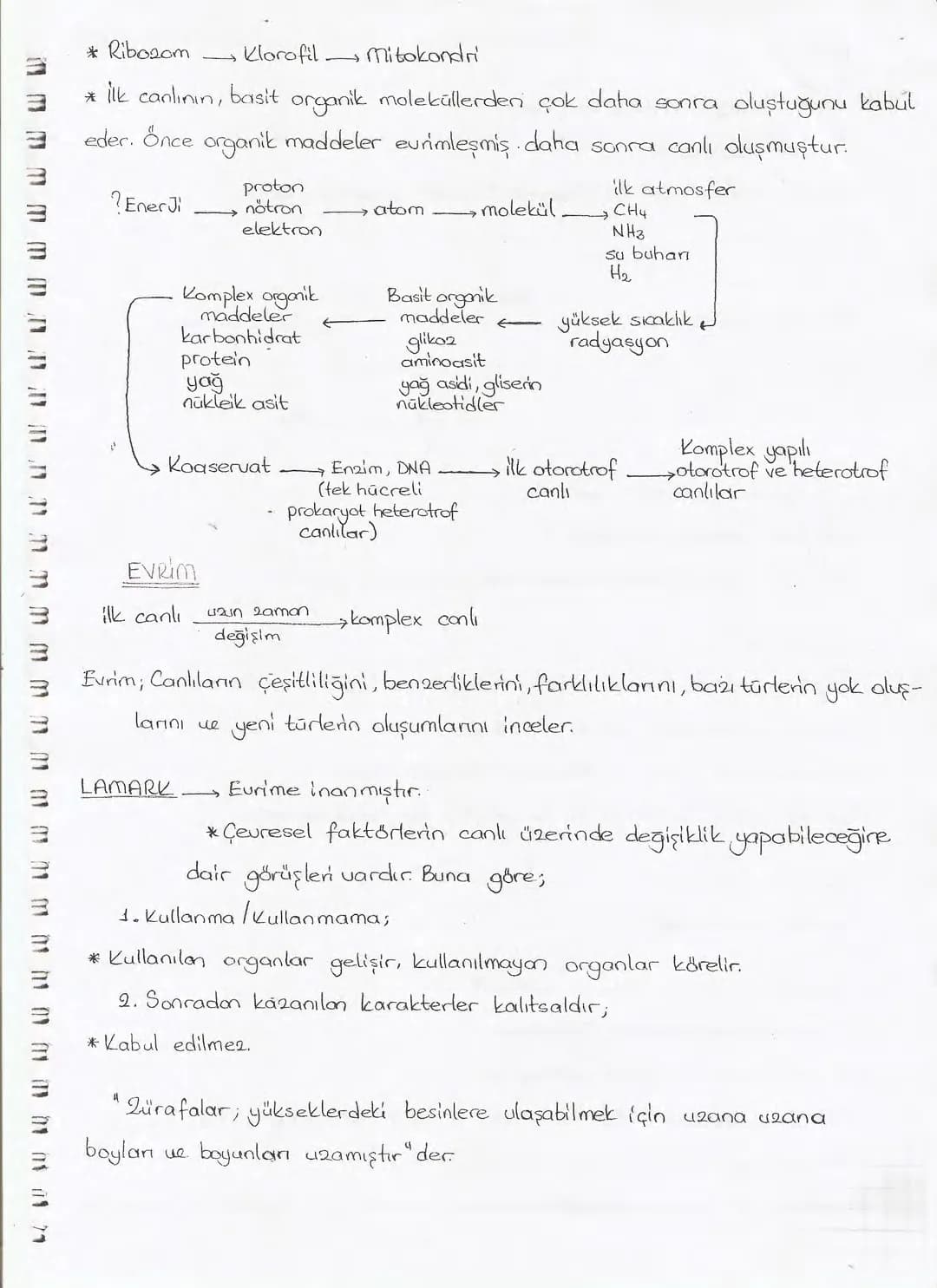 Bölüm 7: FOTOSENTE2 KEMOSENTE2
FOTOSENTE2
3
amaq besin üretmek
hammadde
yon
Ürün
02
CO2 (besinin C kaynağı),
H₂O (02 kaynağı),
2amon→
> günd