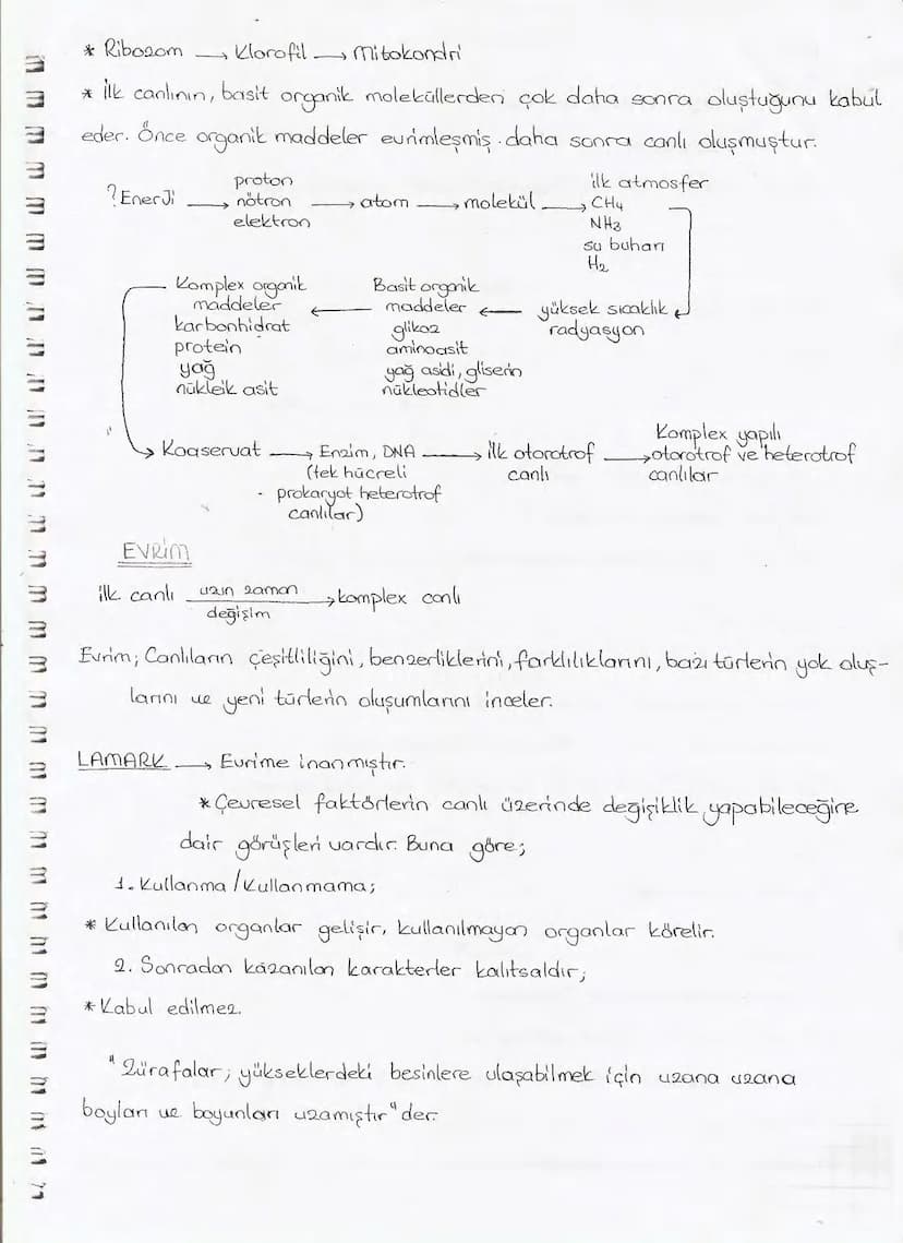Bölüm 7: FOTOSENTE2 KEMOSENTE2
FOTOSENTE2
3
amaq besin üretmek
hammadde
yon
Ürün
02
CO2 (besinin C kaynağı),
H₂O (02 kaynağı),
2amon→
> günd