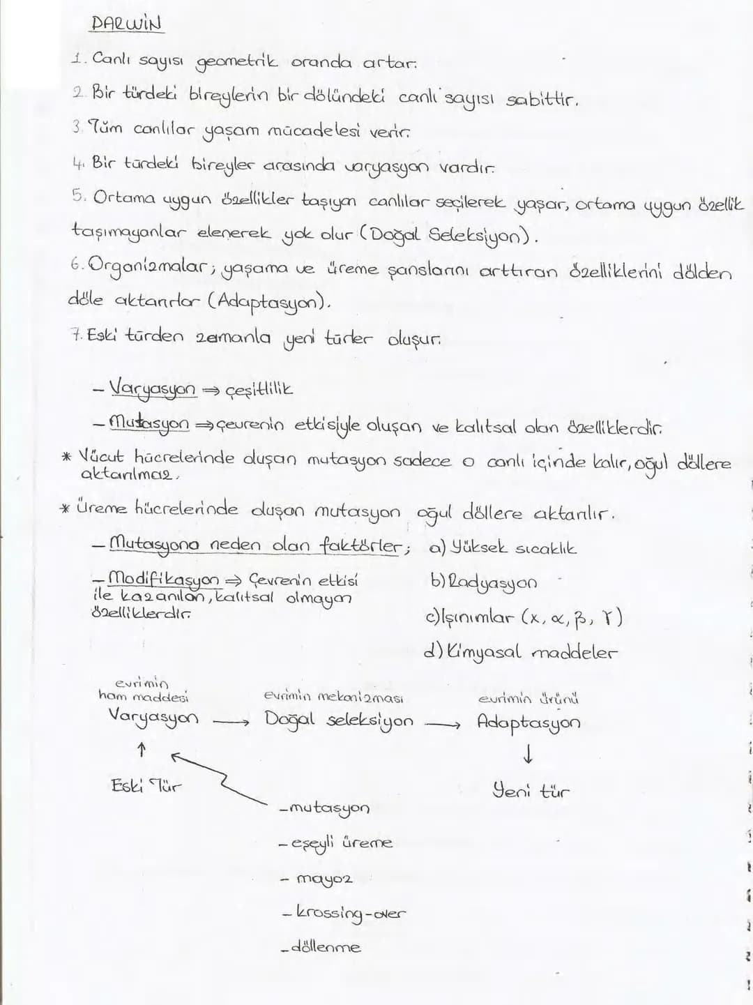 Bölüm 7: FOTOSENTE2 KEMOSENTE2
FOTOSENTE2
3
amaq besin üretmek
hammadde
yon
Ürün
02
CO2 (besinin C kaynağı),
H₂O (02 kaynağı),
2amon→
> günd