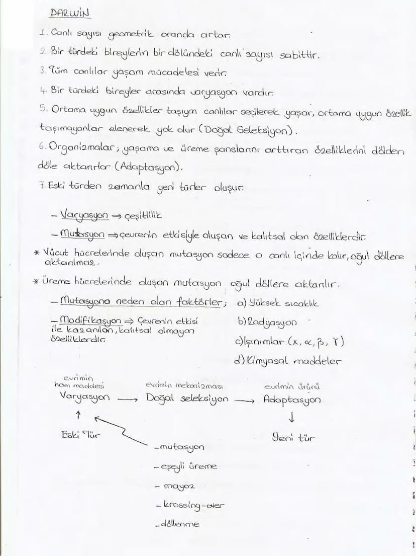 Bölüm 7: FOTOSENTE2 KEMOSENTE2
FOTOSENTE2
3
amaq besin üretmek
hammadde
yon
Ürün
02
CO2 (besinin C kaynağı),
H₂O (02 kaynağı),
2amon→
> günd