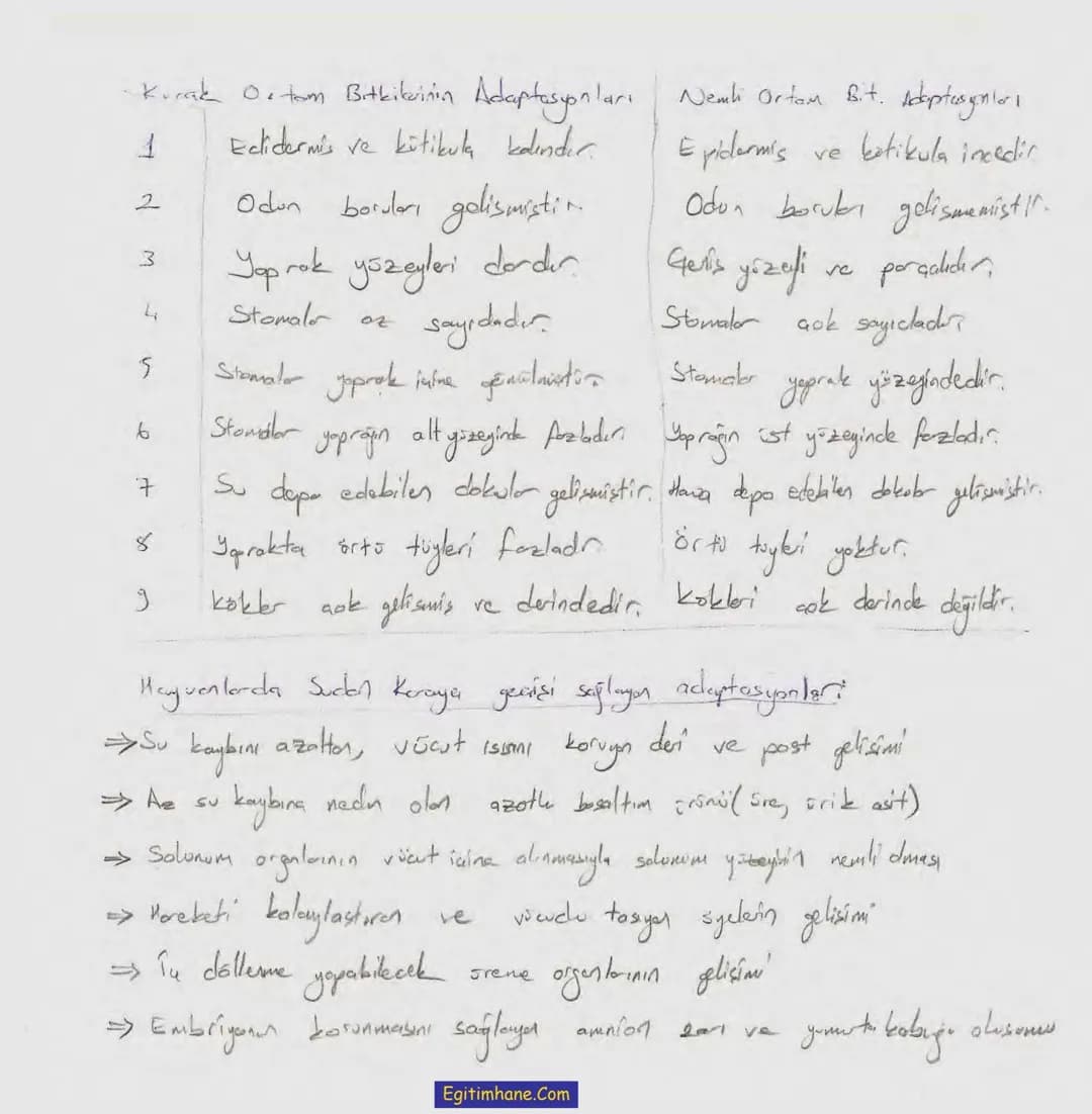 Bölüm 7: FOTOSENTE2 KEMOSENTE2
FOTOSENTE2
3
amaq besin üretmek
hammadde
yon
Ürün
02
CO2 (besinin C kaynağı),
H₂O (02 kaynağı),
2amon→
> günd