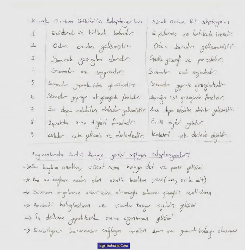 Bölüm 7: FOTOSENTE2 KEMOSENTE2
FOTOSENTE2
3
amaq besin üretmek
hammadde
yon
Ürün
02
CO2 (besinin C kaynağı),
H₂O (02 kaynağı),
2amon→
> günd