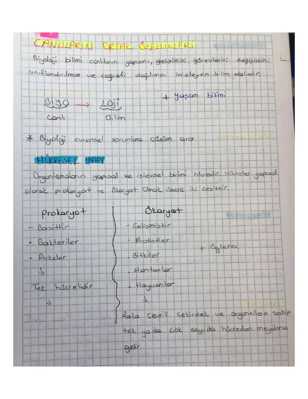 9. SINIF BİYOLOJİ CANLILARIN ORTAK ÖZELLİKLERİ