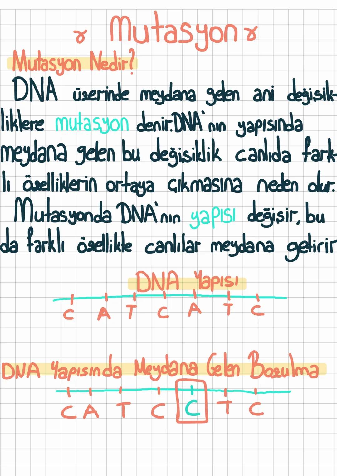 ४
Mutasyon
Mutasyon Nedir?
DNA üzerinde meydana gelen ani değisik-
liklere mutasyon denir. DNA'nın yapısında
meydana gelen bu değişiklik can