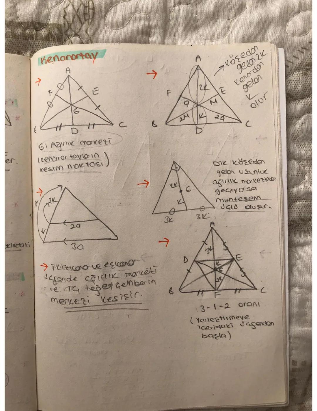 Kenarortay Nedir ve Özellikleri