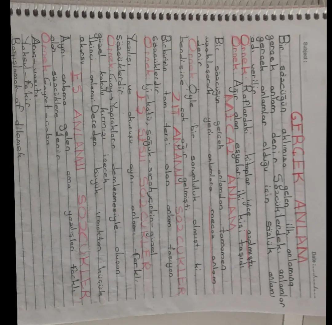 5. Sınıf Türkçe Ders Notları - Başarı İçin Özet Bilgiler